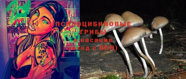 apvp Армянск