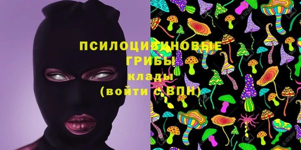 трава Арсеньев