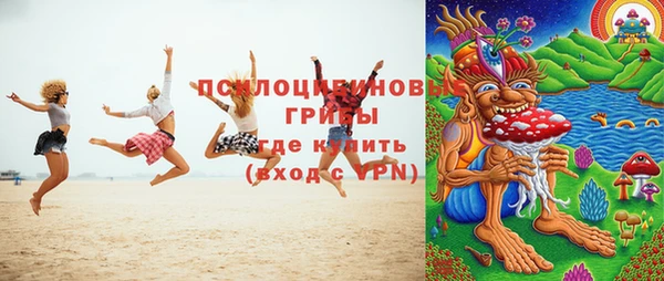 apvp Армянск