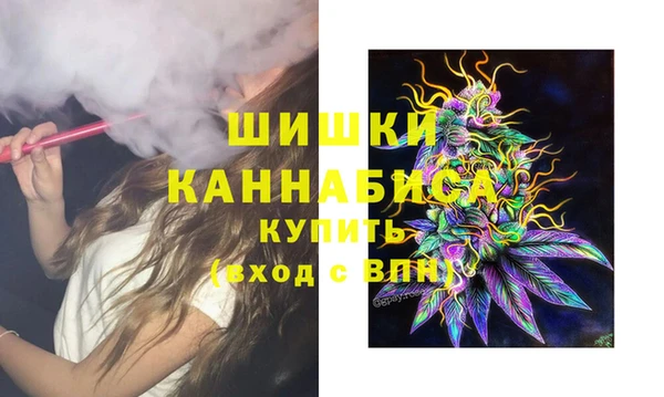 амф Аркадак