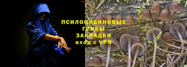 apvp Армянск