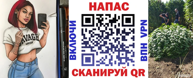 Канабис SATIVA & INDICA Щигры